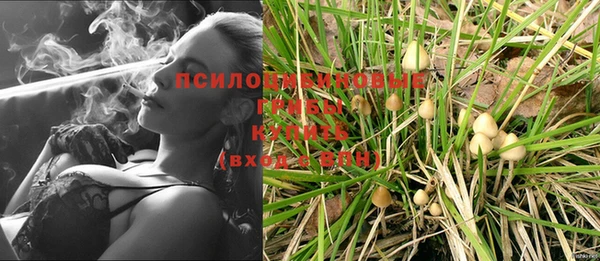 герыч Вяземский