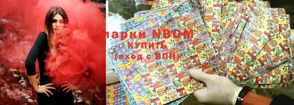 индика Нягань