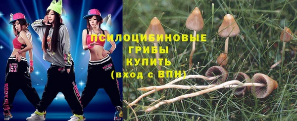 тгк Вязники